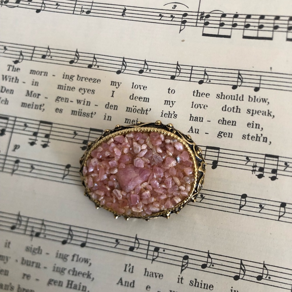 Vtg Coral Chip Brooch